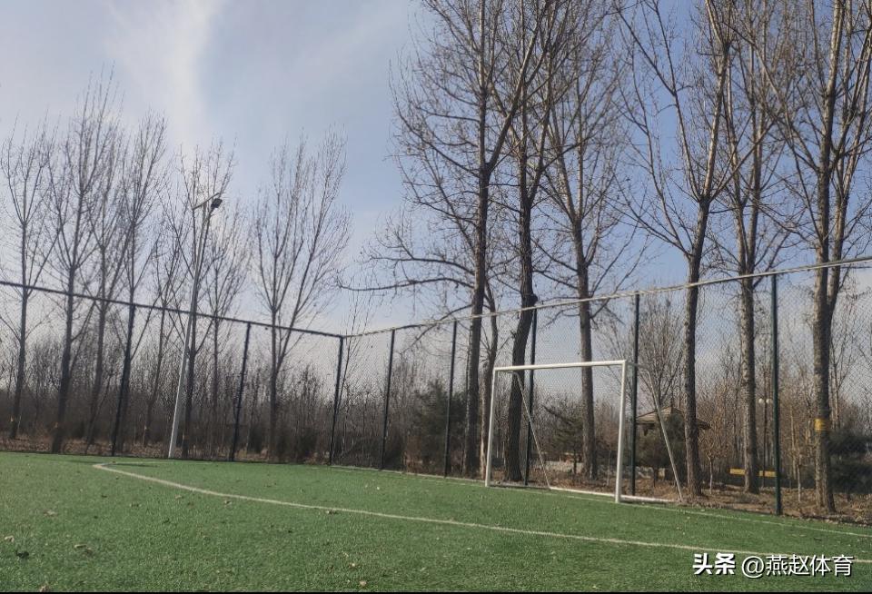 体育消费节来啦运动健身约起来,体育世界第一运动是什么