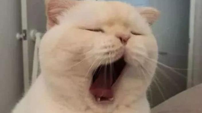 下午三四点犯困,每天下午三四点犯困