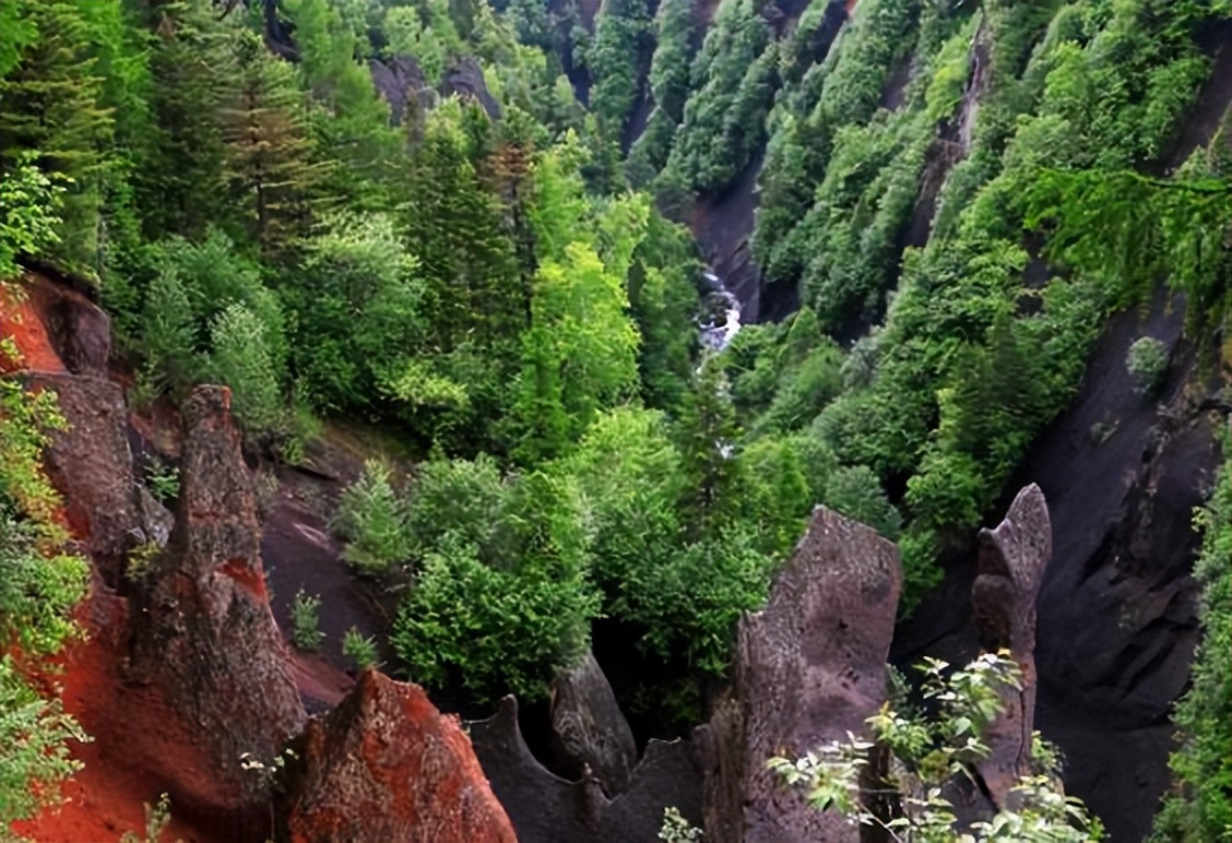 长白山滑雪夏令营,夏令营走进长白山