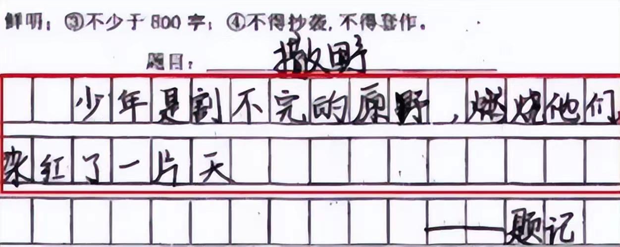 中学生作文套用“网文金句”，老师无情给出低分，家长：管不了