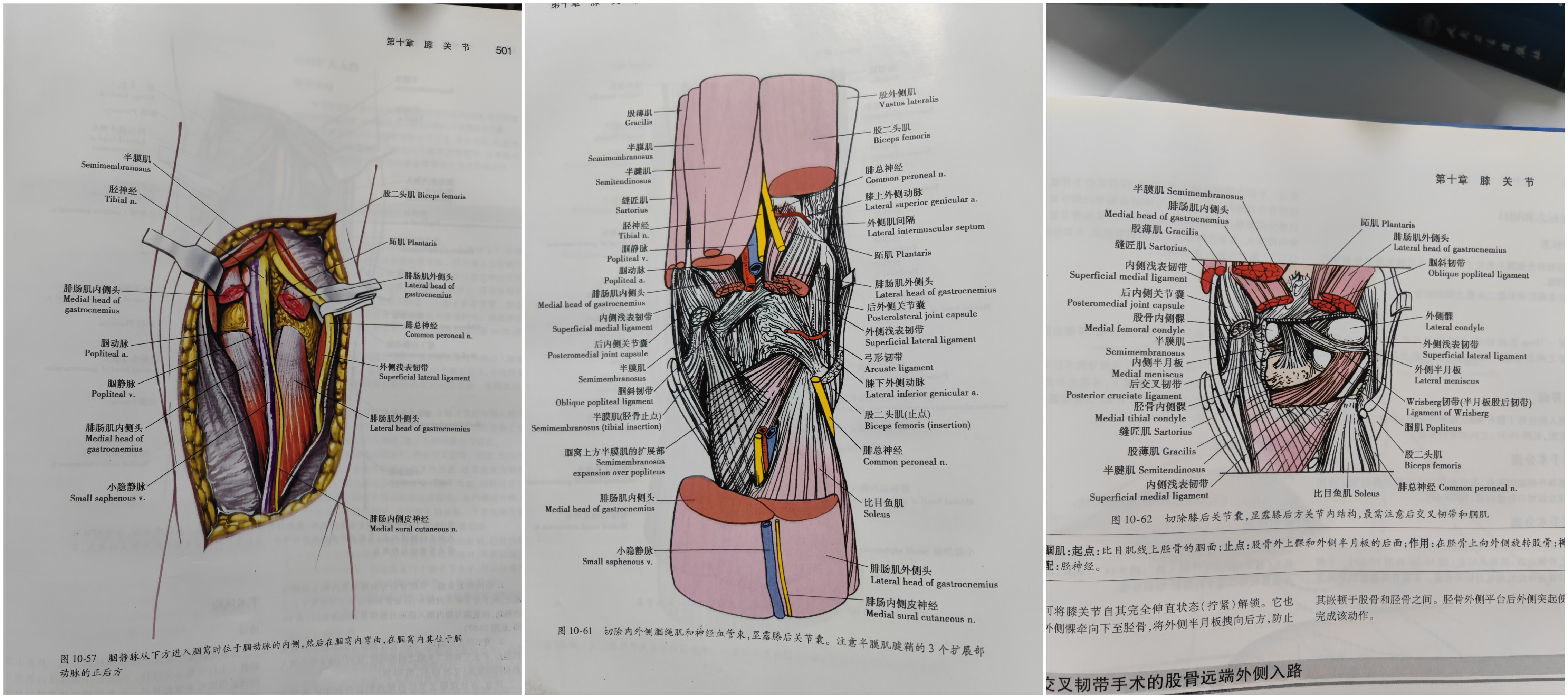 骨伤微创手术,黄梅县中医医院骨伤一科