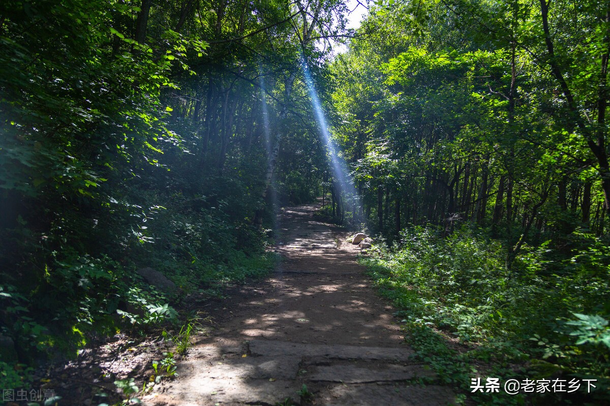 喇叭沟门原始森林最佳观赏区,喇叭沟门原始森林赏七彩秋景