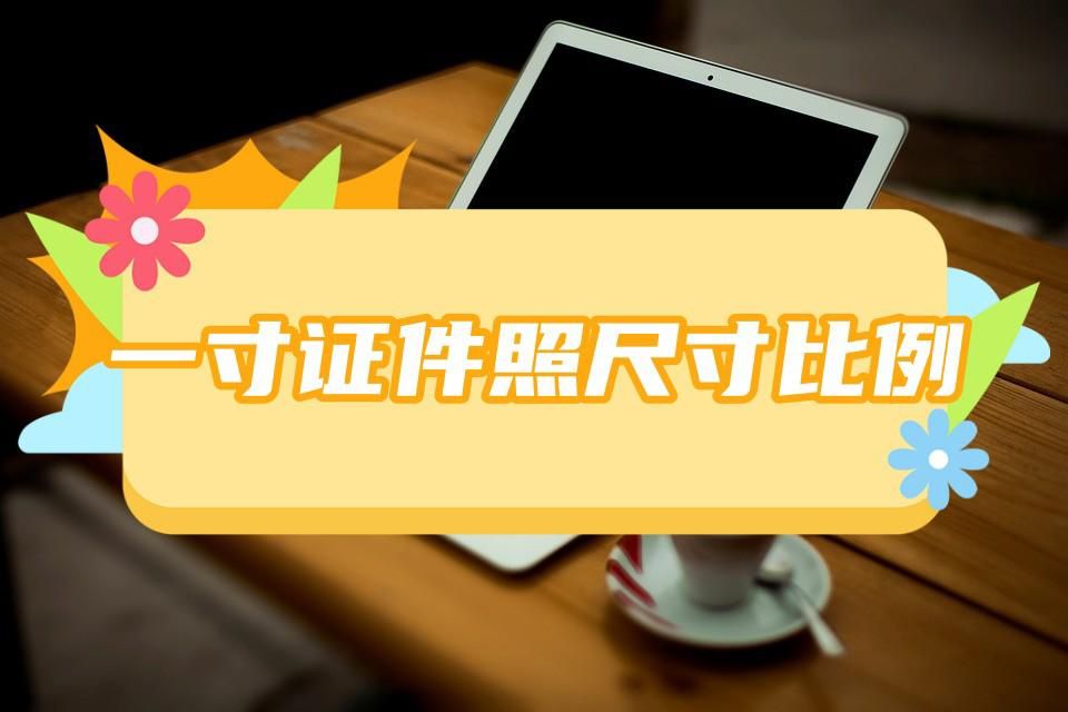 大一寸证件照尺寸标准,1寸与大一寸证件照尺寸对照表