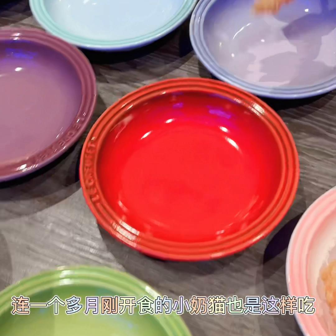 四个月布偶猫可以直接喂生骨肉吗,布偶猫喂养技巧图解