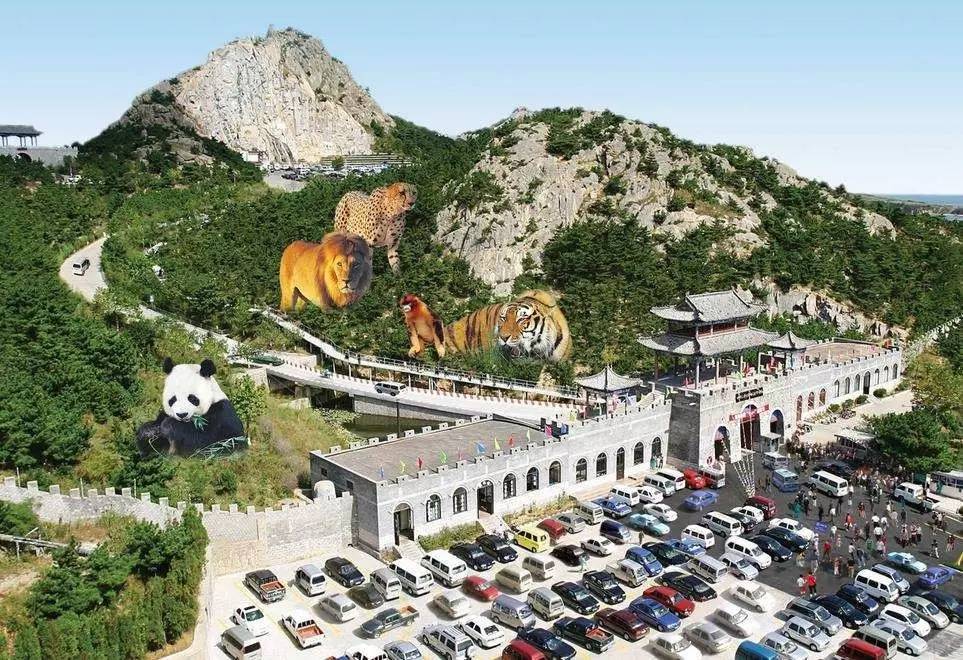 去威海玩完的感受,去威海旅游怎么说比较好