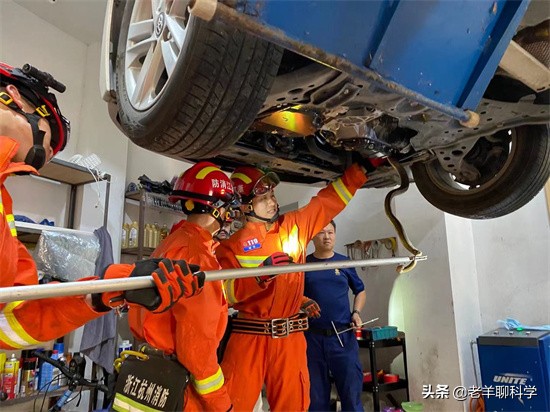 男子夜钓打5条蛇,男子半夜开车蛇在车窗