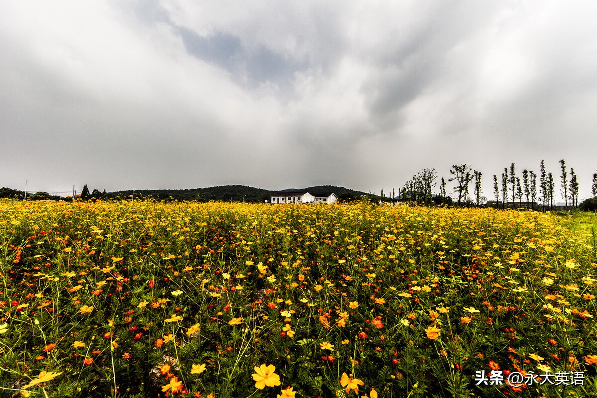英语读写课的教学设计过程,小学英语读写课的教学策略