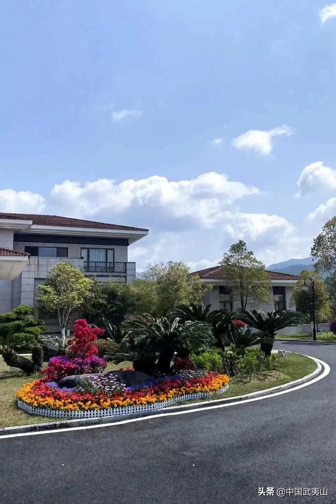 武夷山反响,武夷山茶香美宿