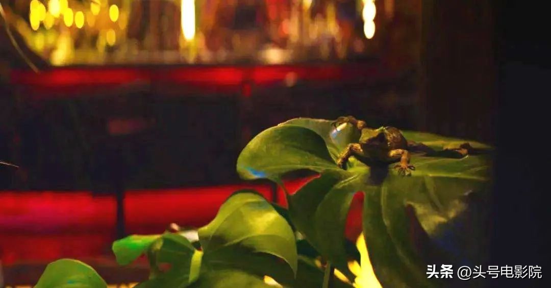 二刷消失的她看到的细节,朱一龙电影消失的她两个彩蛋