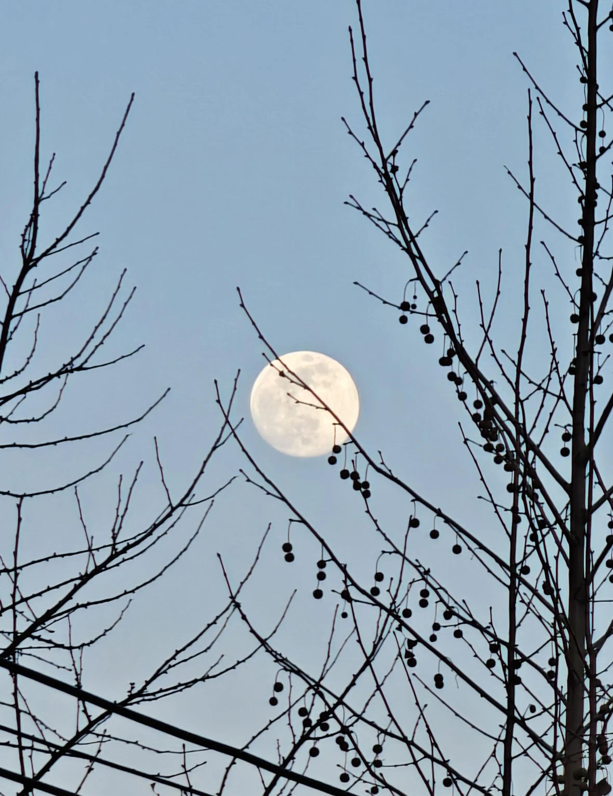 如何以身作则当好管理表率,亮剑教你如何做优秀管理者