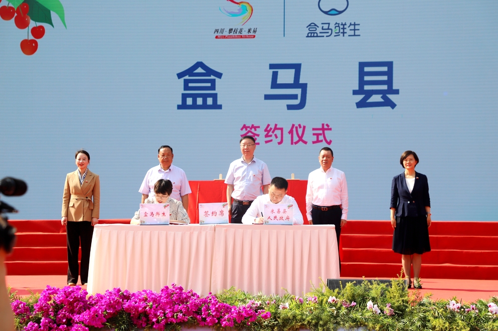 红玛瑙樱桃米易,米易县樱桃红