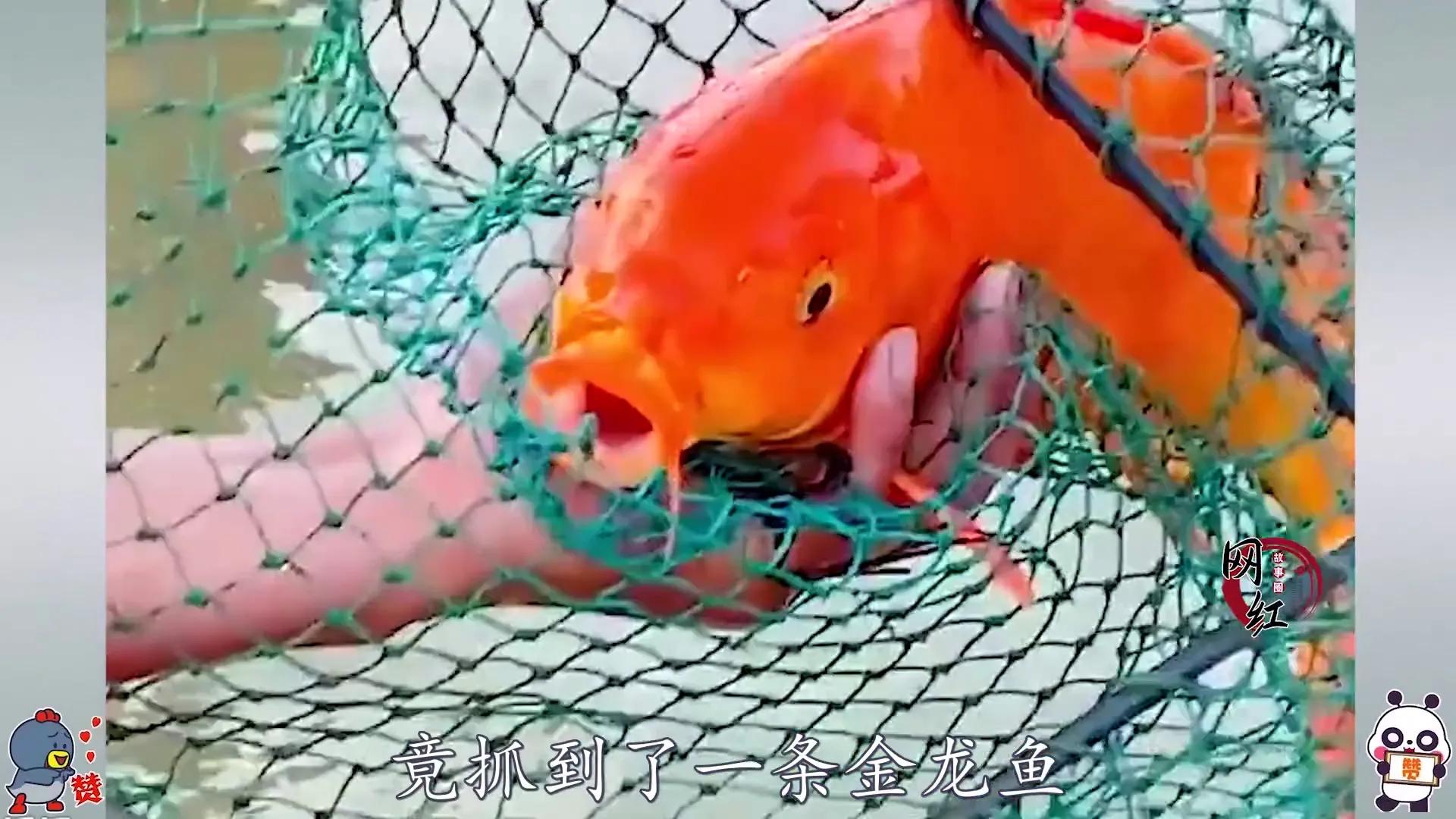 一个视频赚10w,一个小伙凭借一条视频赚几亿