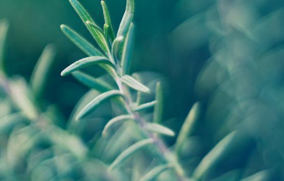 女士保湿控油推荐,夏日清爽控油好物推荐