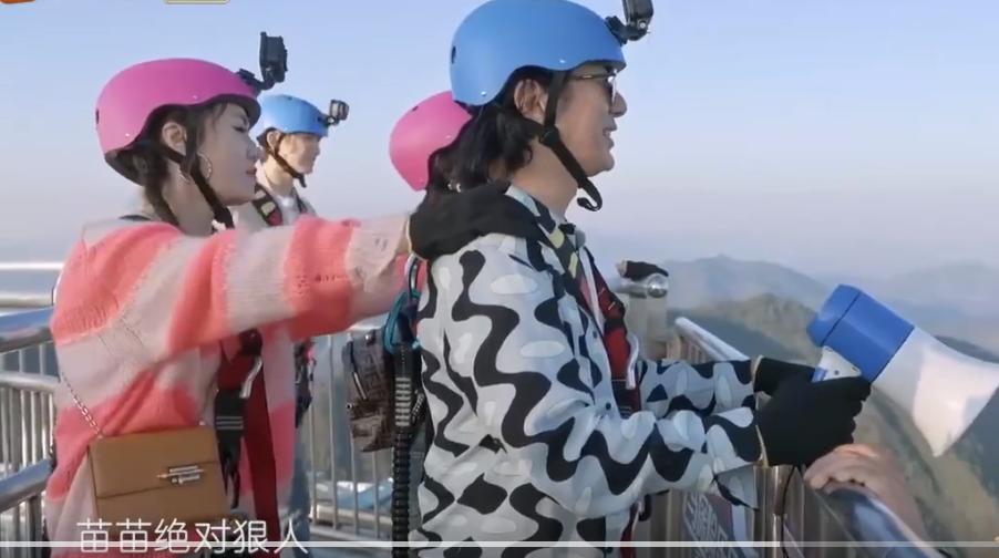 郑钧评价苗苗扮猪吃老虎,苗苗评价郑钧刘芸