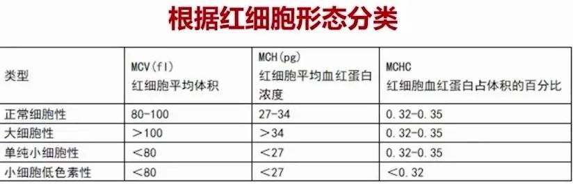 贫血科普视频怎么做,贫血是常见病吗