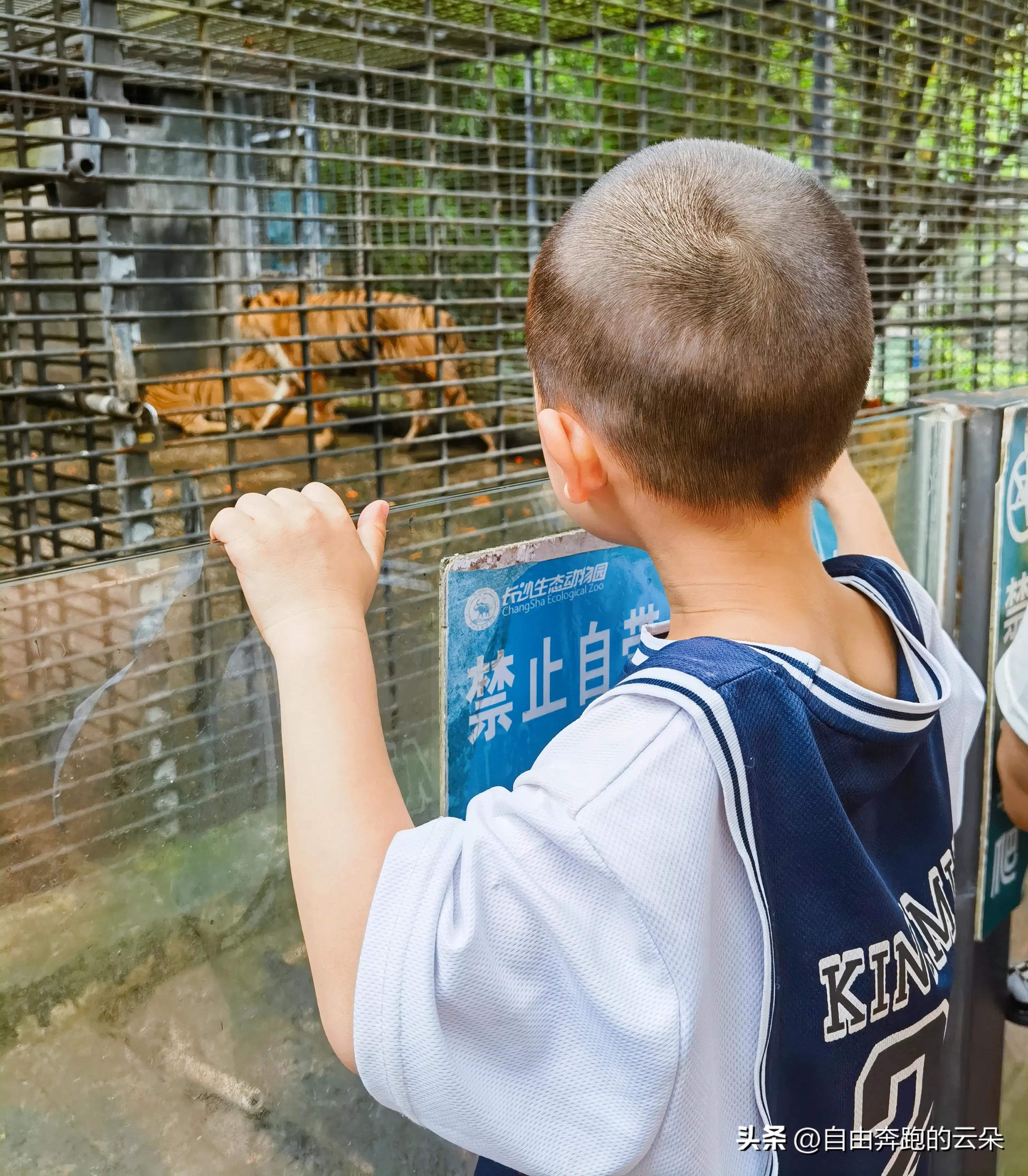 长沙生态动物园门票小孩免费吗,长沙生态动物园门票多少钱一个人