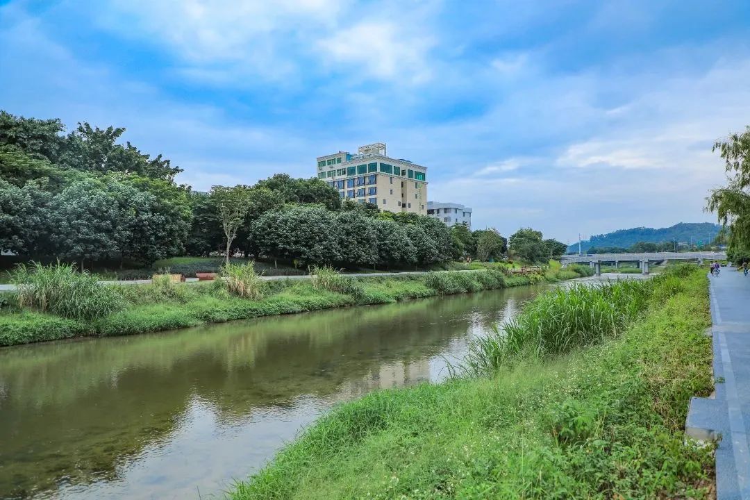 冬日露营围炉煮茶的闲适和惬意,记一次秋天的围炉煮茶露营
