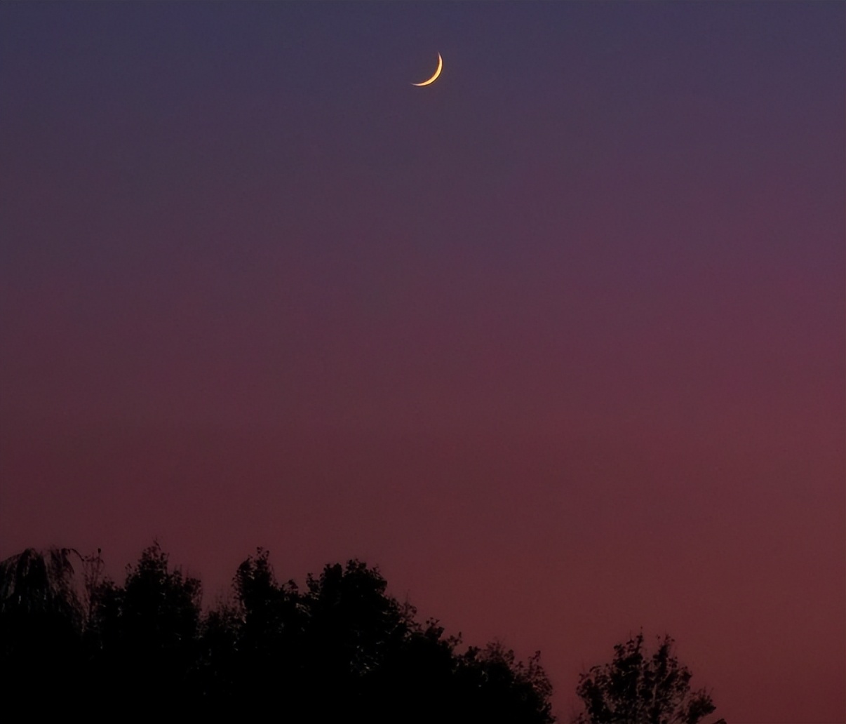 搞笑的文案幽默的文案,文案可爱又搞笑的朋友圈文案