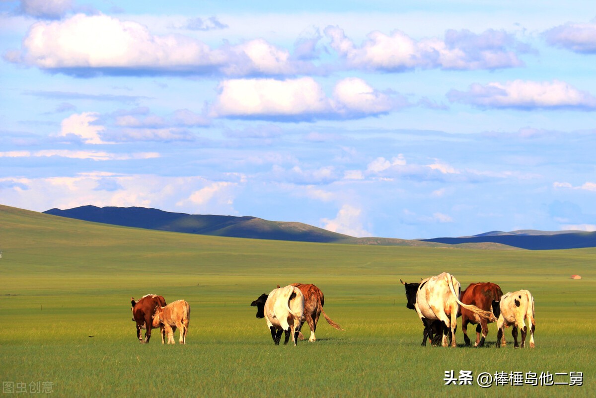 一生必去一次的内蒙,推荐呼伦贝尔大草原必看攻略
