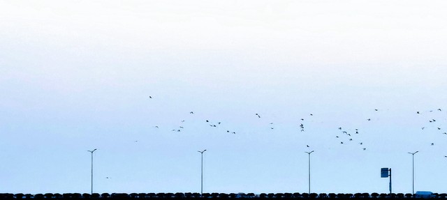 唐朝杜甫绝句,唐代诗人杜甫的经典名句