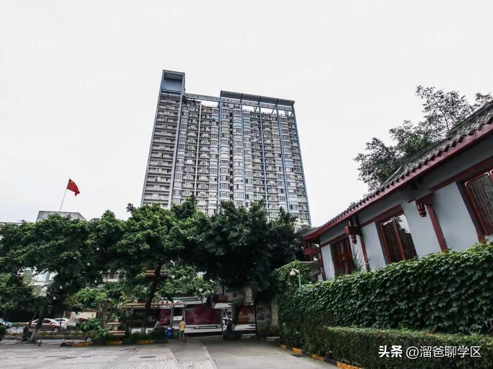 成都小学排名前十的小学,成都十大小学排名