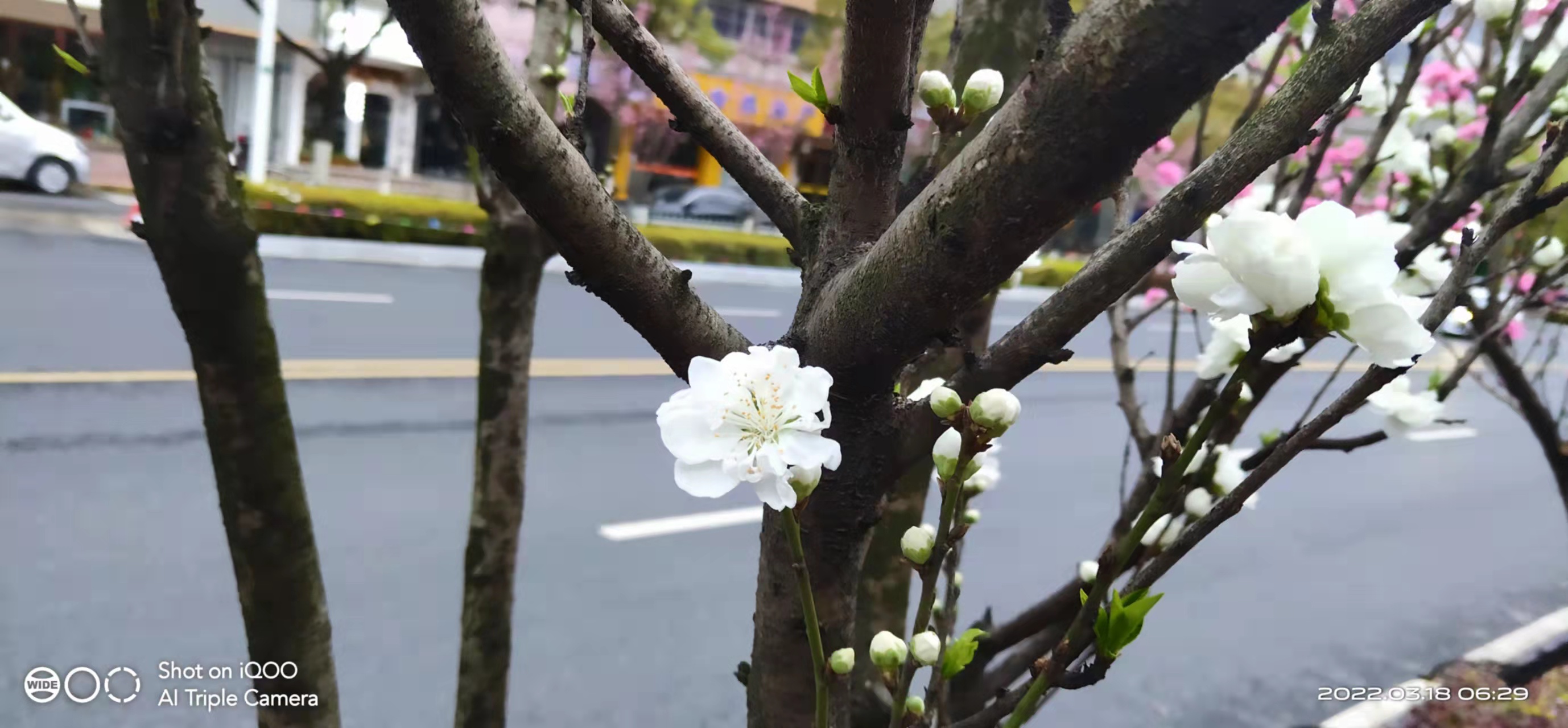 萧山风景拍照打卡地,萧山网红打卡景点春季