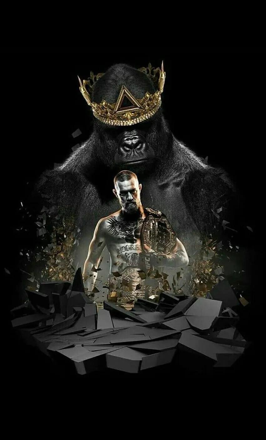 ufc综合格斗动态壁纸,ufc格斗拳套图片高清壁纸