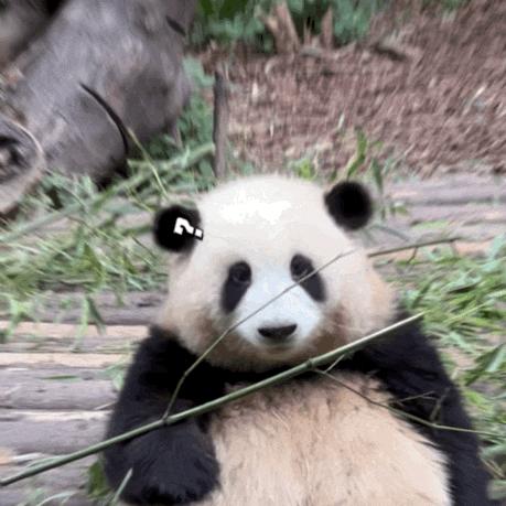 液化石油气钢瓶什么状态最危险,液化石油气钢瓶超储存有什么隐患