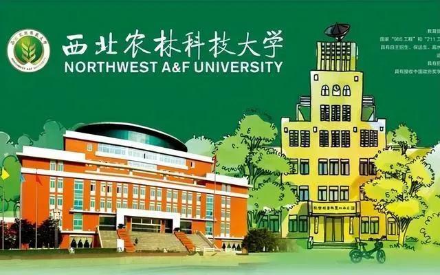 哪些985高校比哈工大西交大好,2018中国最好大学排名出炉哈工大