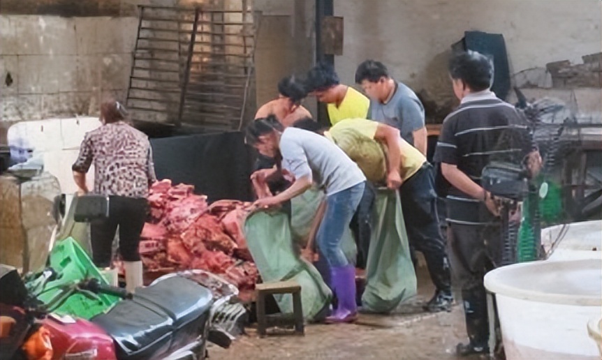 准新娘猝死之谜全集,准新娘猝死之谜完整版