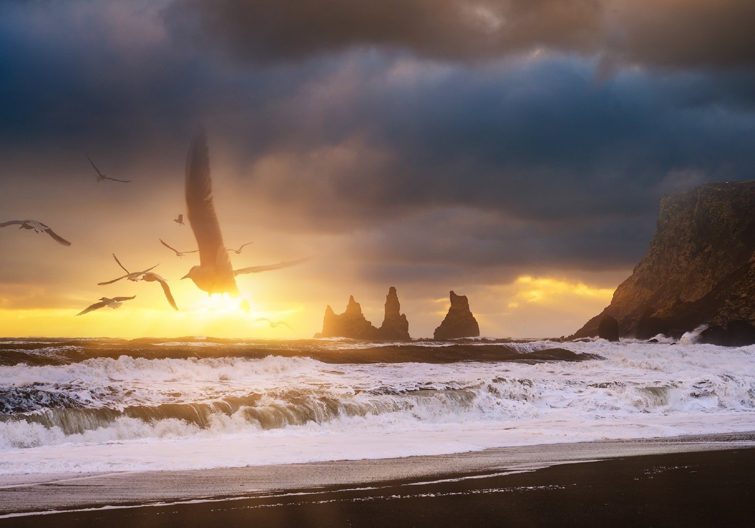 单反相机跟手机拍照有什么区别,苹果手机和单反相机拍摄对比