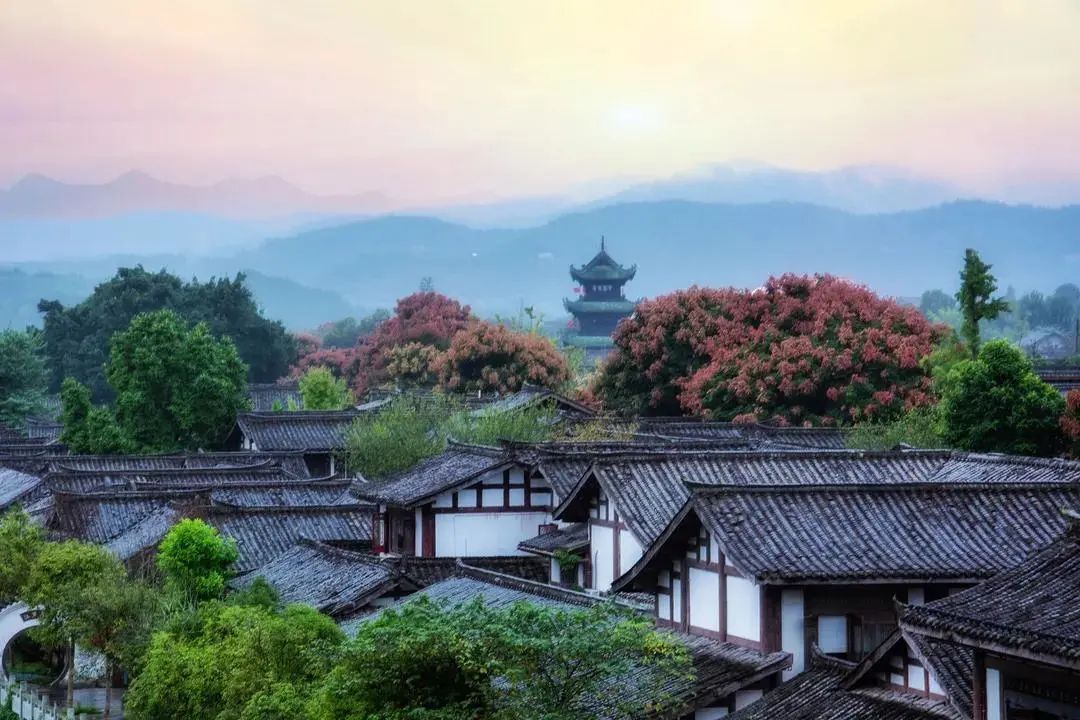 什么是南充菜,什么是南充菜图片