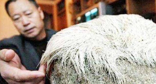 捡到一块石头居然是传说中的生物,村民捡到有耳有眼的神秘石头