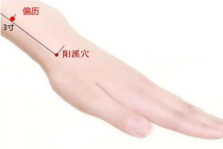 偏厉穴——龋齿牙痛特效穴