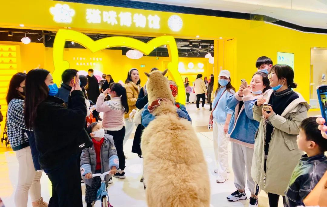 银泰百货有没有官方旗舰店,银泰商业旗舰店