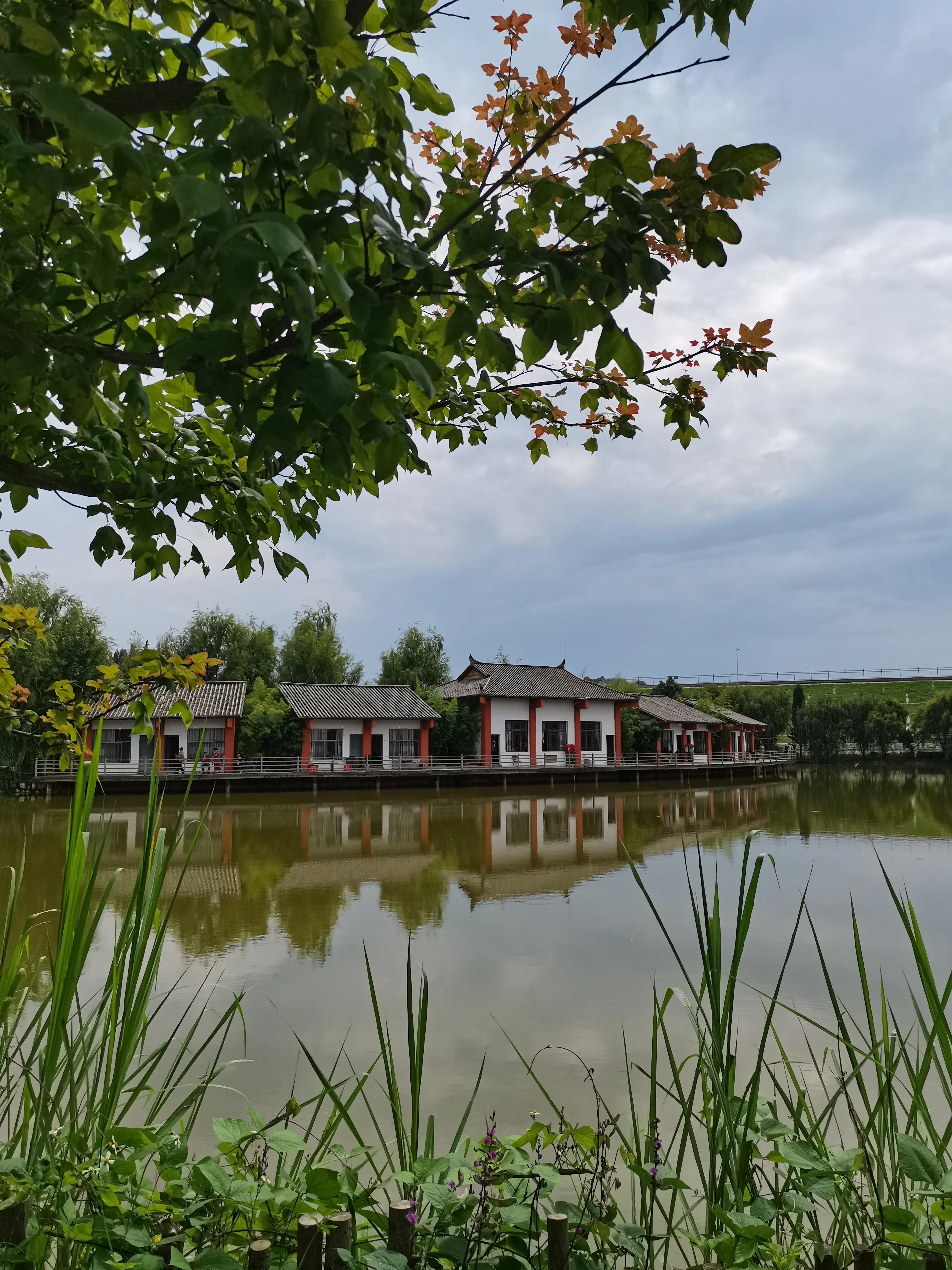 株洲附近休闲度假好去处,休闲度假好去处桥头莲湖荷花盛放