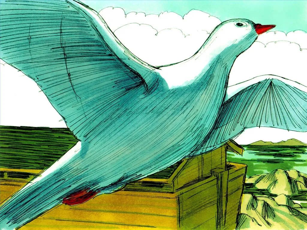 诺亚和方舟图片,诺亚一家造方舟