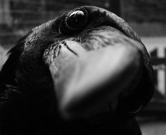 100个难得一见照片,难得一见12张照片