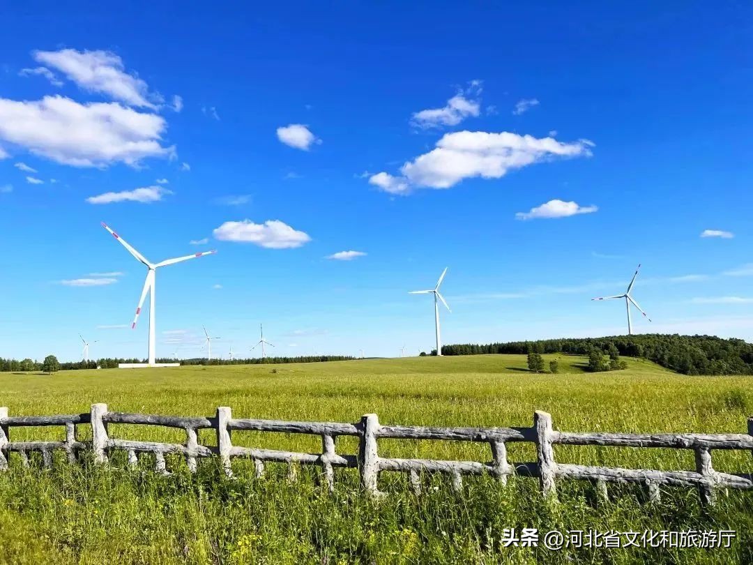 向河北,向着坝上草原出发