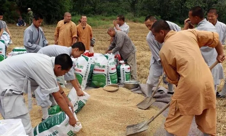 少林传统养生功,少林有哪些清规戒律