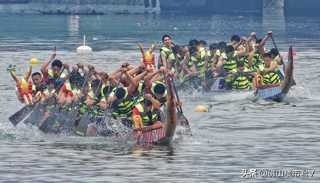 日薪600请龙舟教练！为了全村荣耀，佛山房东有多拼？