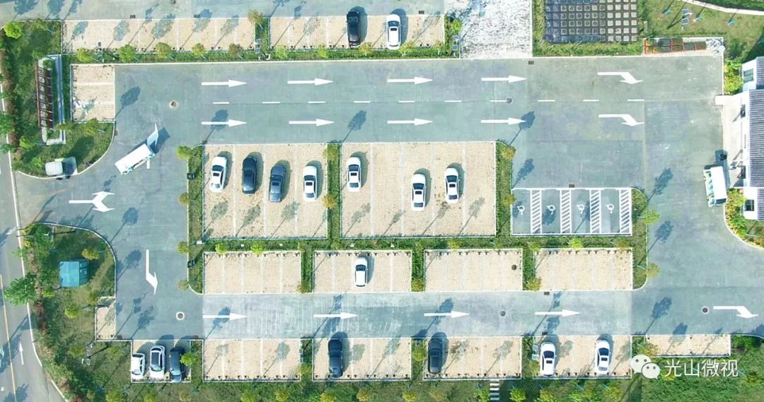 光山县司马光油茶园,河南光山司马光油茶园