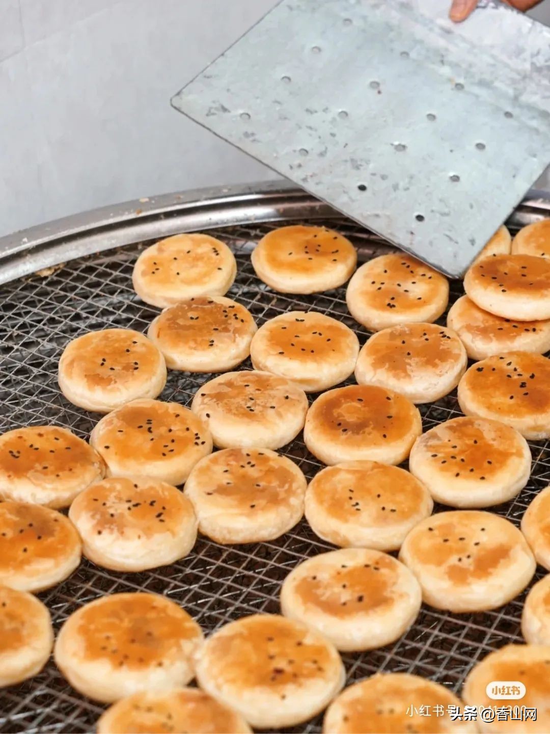 珠海必吃十大老字号香洲区,珠海吃货绝不能错过的40家老字号