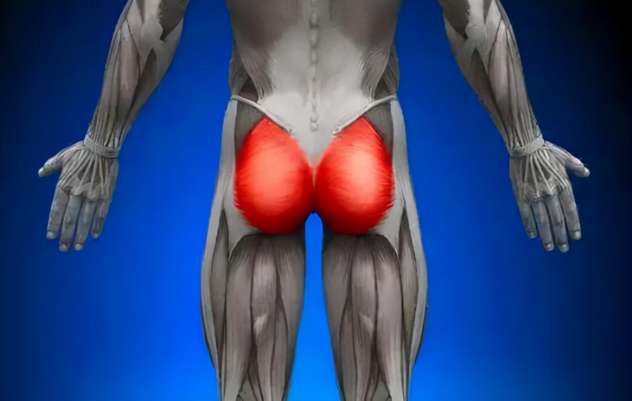 屁股宽的好处和坏处,屁股大的和屁股小的哪个更健康