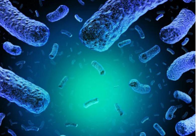 皮蛋被列入世界最恶心食物第一名,皮蛋被列入十大恶心食品