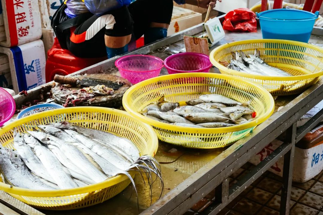 早餐烤乳猪，海鲜论盆卖？这座海岛小城舒坦得有点离谱了