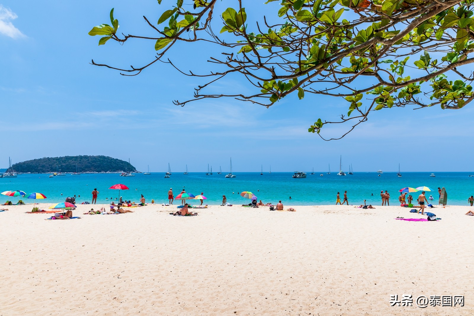 泰国普吉岛最热门岛,泰国最大的岛是普吉岛吗