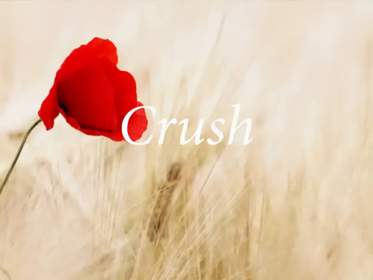 23个英语词,23个英语字母表图片