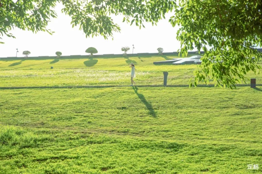 深圳10个小众打卡地免费游玩,深圳十大免费打卡地