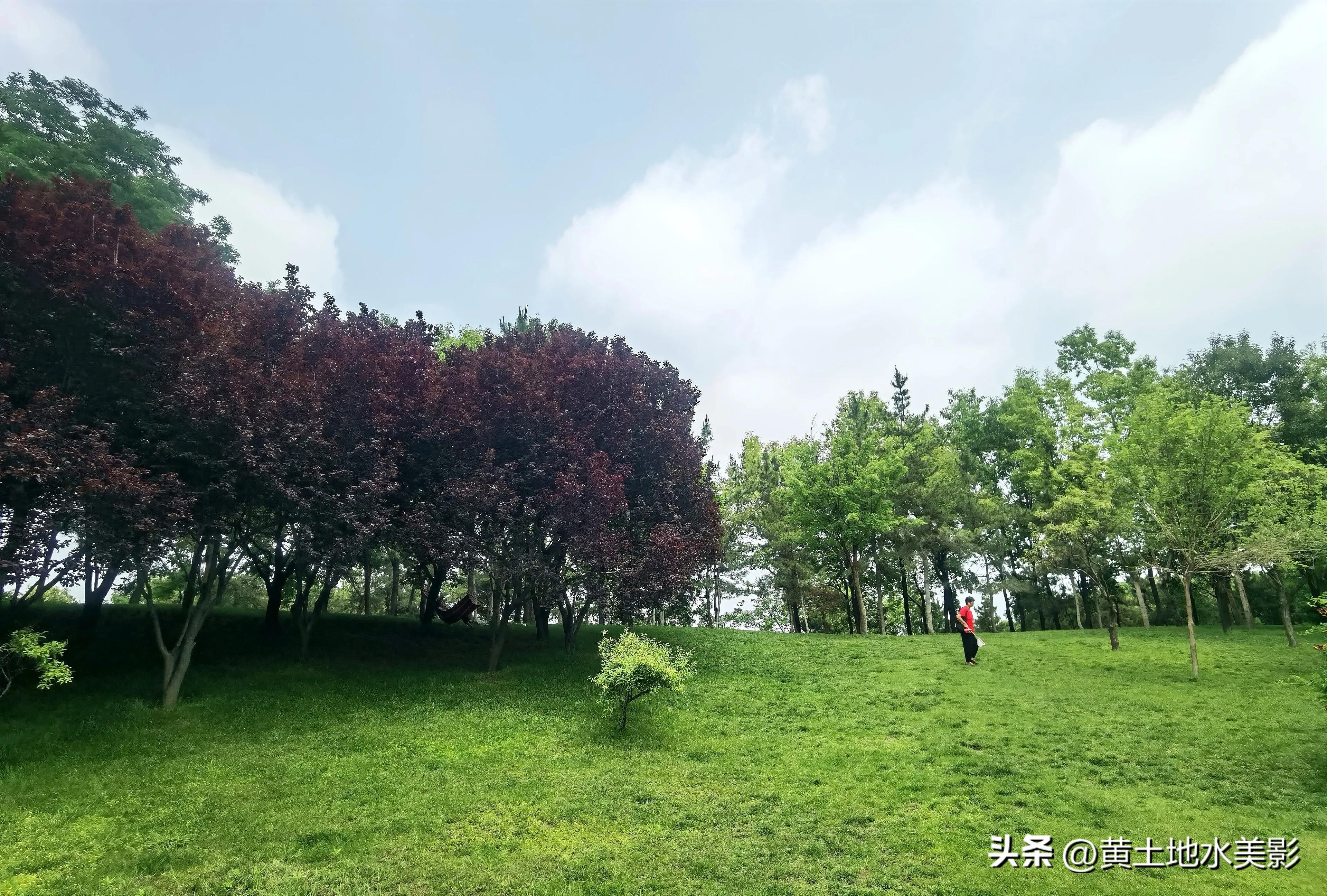 郑州儿童节周边游,郑州室外适宜小朋友游玩的景点